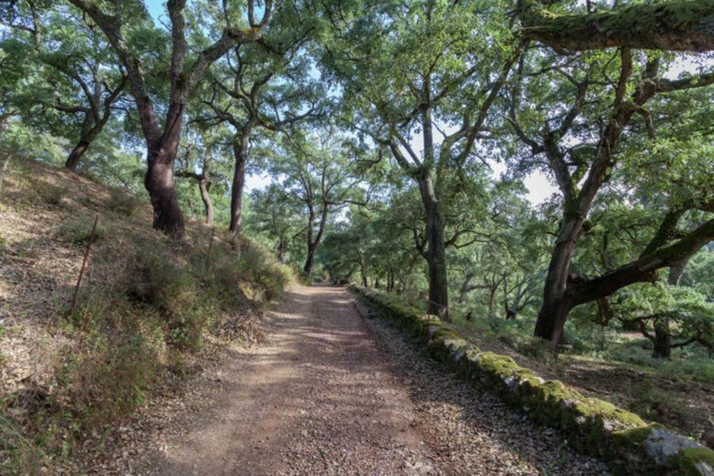 Finca Montemateo Navahermosa  Dış mekan fotoğraf