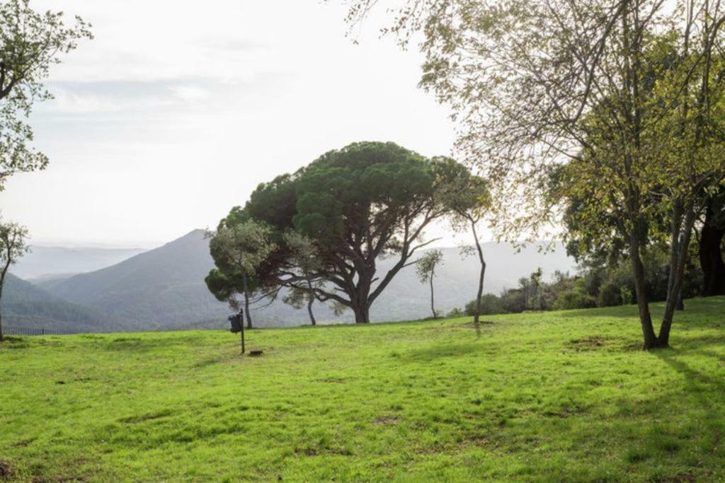 Finca Montemateo Navahermosa  Dış mekan fotoğraf